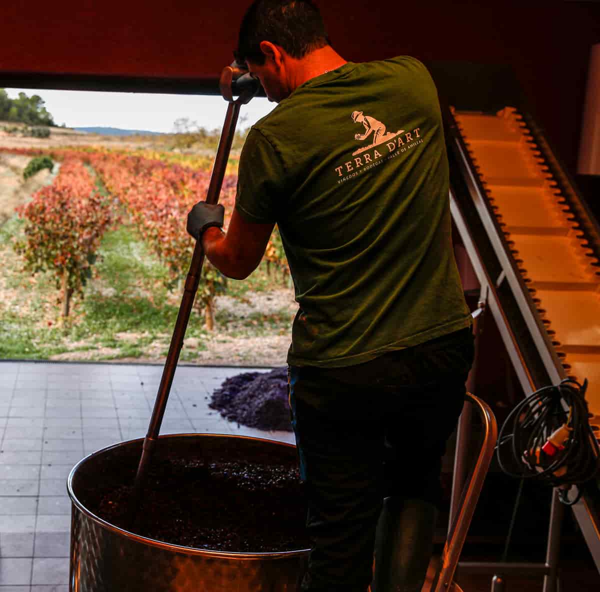 Juan José elaborando el vino